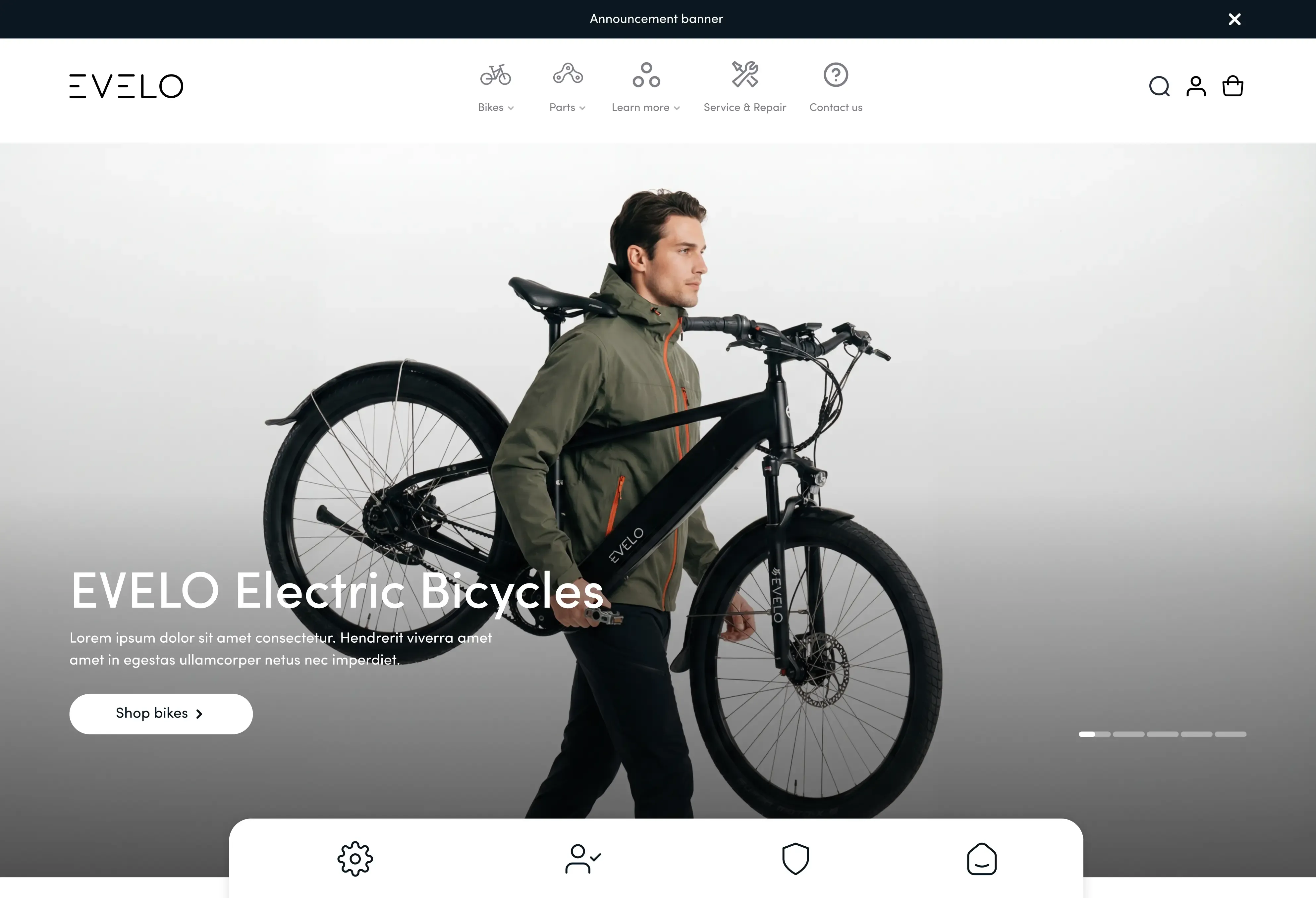 Click to see image: Evelo Homepage